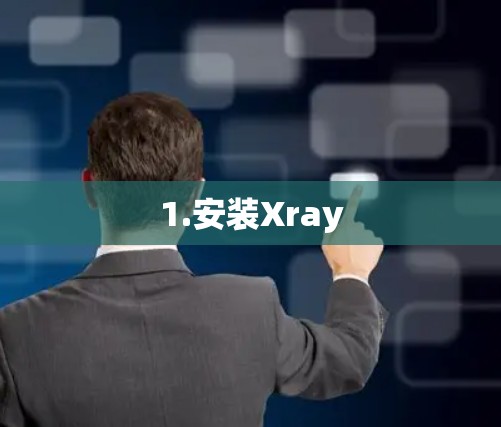 1.安装Xray 1.安装Xray