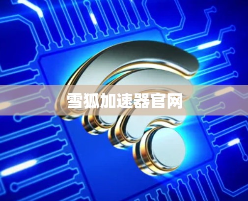雪狐加速器官网 雪狐加速器官网