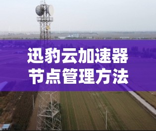 迅豹云加速器节点管理方法与应用探讨 迅豹云加速器节点管理方法与应用探讨