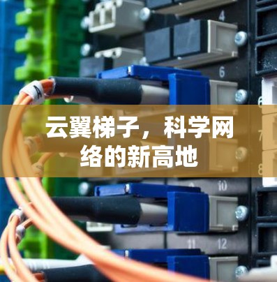 云翼梯子,科学网络的新高地 云翼梯子,科学网络的新高地