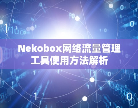 Nekobox网络流量管理工具使用方法解析 Nekobox网络流量管理工具使用方法解析