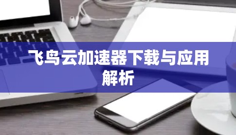 飞鸟云加速器下载与应用解析 飞鸟云加速器下载与应用解析