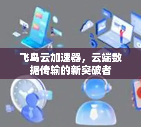 飞鸟云加速器,云端数据传输的新突破者 飞鸟云加速器,云端数据传输的新突破者
