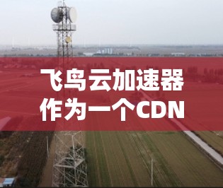 飞鸟云加速器作为一个CDN服务,确实能够有效提升网站的加载速度和性能,尤其是在处理图片、静态资源和优化代码方面表现优异。以下是对飞鸟云加速器的详细分析和总结 飞鸟云加速器作为一个CDN服务,确实能够有效提升网站的加载速度和性能,尤其是在处理图片、静态资源和优化代码方面表现优异。以下是对飞鸟云加速器的详细分析和总结