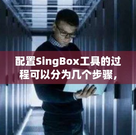 配置SingBox工具的过程可以分为几个步骤,确保每个部分都正确设置以实现预期功能。以下是详细的配置步骤 配置SingBox工具的过程可以分为几个步骤,确保每个部分都正确设置以实现预期功能。以下是详细的配置步骤