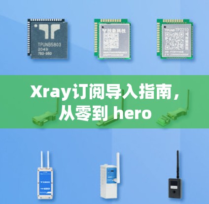 Xray订阅导入指南,从零到 hero Xray订阅导入指南,从零到 hero