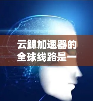 云鲸加速器的全球线路是一个高度优化的网络系统,旨在为企业提供高效、安全的数据传输解决方案。以下是对其全球线路的详细分析 云鲸加速器的全球线路是一个高度优化的网络系统,旨在为企业提供高效、安全的数据传输解决方案。以下是对其全球线路的详细分析