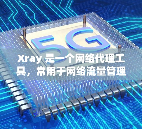 Xray 是一个网络代理工具，常用于网络流量管理、防止网络污染、控制访问等场景。优化 Xray 的性能和稳定性可以从以下几个方面入手