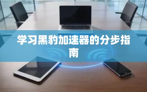 学习黑豹加速器的分步指南 学习黑豹加速器的分步指南