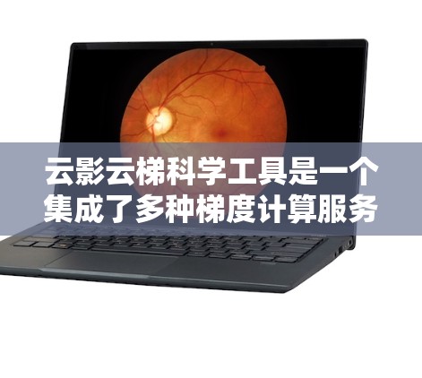 云影云梯科学工具是一个集成了多种梯度计算服务和模型优化技术的平台,旨在帮助用户高效训练大型深度学习模型。以下是对云影云梯的详细分析和总结 云影云梯科学工具是一个集成了多种梯度计算服务和模型优化技术的平台,旨在帮助用户高效训练大型深度学习模型。以下是对云影云梯的详细分析和总结