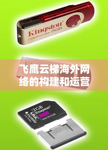 飞鹰云梯海外网络的构建和运营是一个复杂而庞大的工程，涉及技术、法律、市场和战略等多个层面。以下是对飞鹰云梯海外网络的详细分析