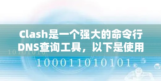 Clash是一个强大的命令行DNS查询工具,以下是使用Clash的基本教程,帮助你快速熟悉并高效使用它 Clash是一个强大的命令行DNS查询工具,以下是使用Clash的基本教程,帮助你快速熟悉并高效使用它