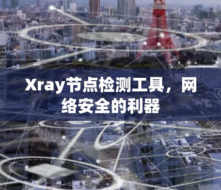Xray节点检测工具,网络安全的利器 Xray节点检测工具,网络安全的利器