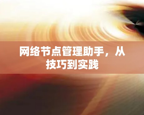 网络节点管理助手,从技巧到实践 网络节点管理助手,从技巧到实践