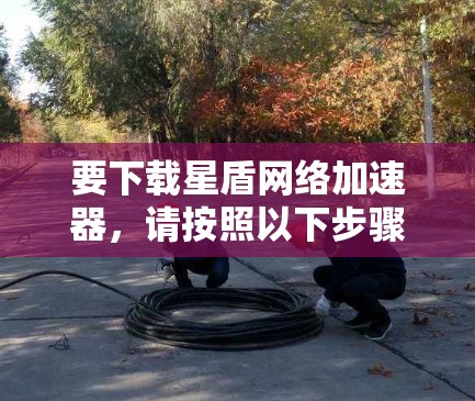要下载星盾网络加速器,请按照以下步骤操作 要下载星盾网络加速器,请按照以下步骤操作