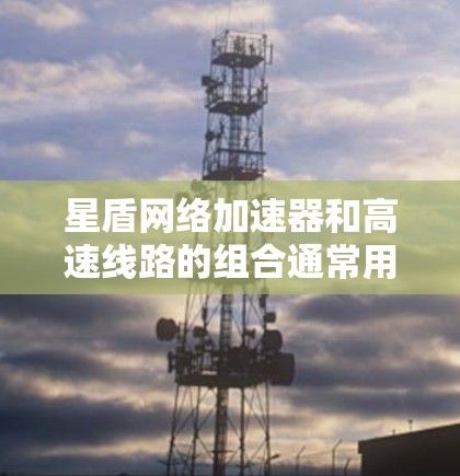 星盾网络加速器和高速线路的组合通常用于高性能网络环境,主要目的是优化数据传输速度和带宽使用效率。以下是关于如何设计和部署星盾网络加速器与高速线路的建议 星盾网络加速器和高速线路的组合通常用于高性能网络环境,主要目的是优化数据传输速度和带宽使用效率。以下是关于如何设计和部署星盾网络加速器与高速线路的建议