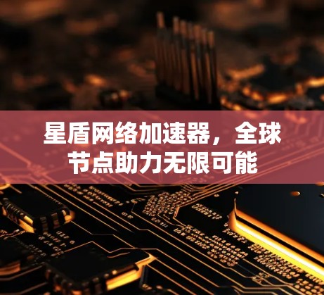 星盾网络加速器,全球节点助力无限可能 星盾网络加速器,全球节点助力无限可能