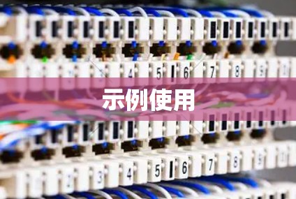 示例使用 示例使用