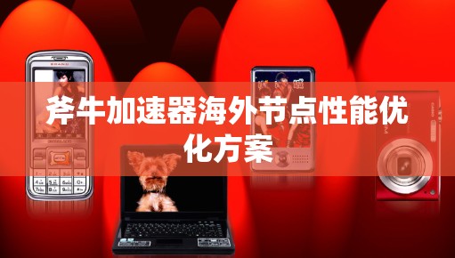 斧牛加速器海外节点性能优化方案 斧牛加速器海外节点性能优化方案