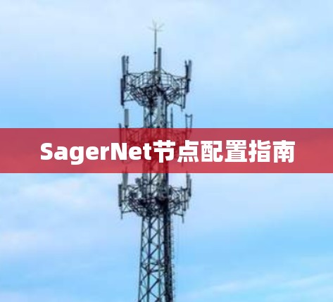 SagerNet节点配置指南 SagerNet节点配置指南