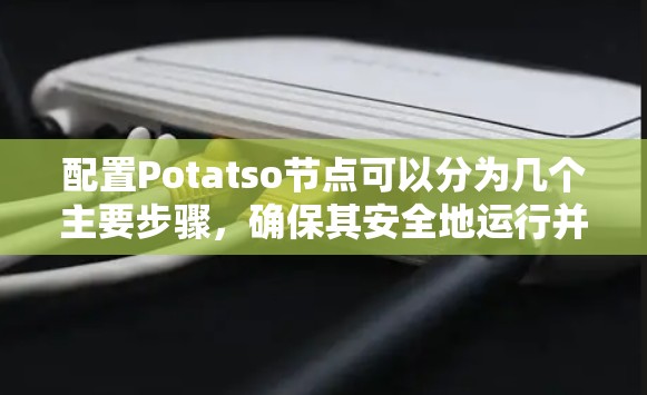配置Potatso节点可以分为几个主要步骤,确保其安全地运行并连接网络。以下是详细的步骤指南 配置Potatso节点可以分为几个主要步骤,确保其安全地运行并连接网络。以下是详细的步骤指南