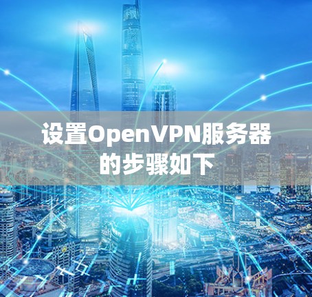 设置OpenVPN服务器的步骤如下 设置OpenVPN服务器的步骤如下