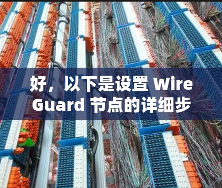 好,以下是设置 WireGuard 节点的详细步骤 好,以下是设置 WireGuard 节点的详细步骤