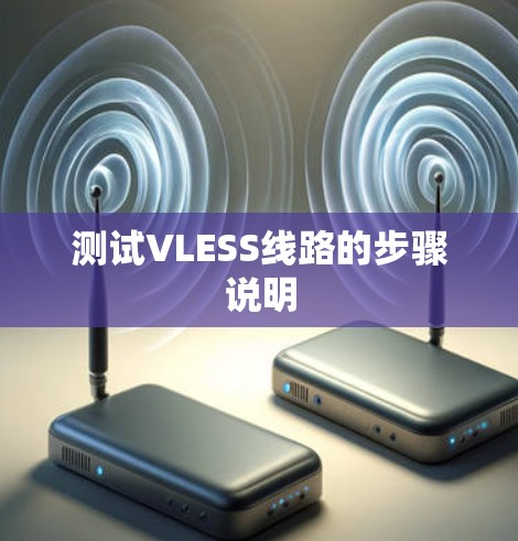 测试VLESS线路的步骤说明 测试VLESS线路的步骤说明