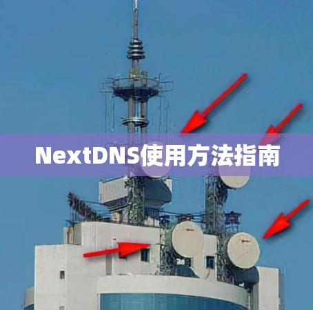 NextDNS使用方法指南 NextDNS使用方法指南