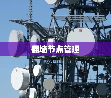 翻墙节点管理 翻墙节点管理