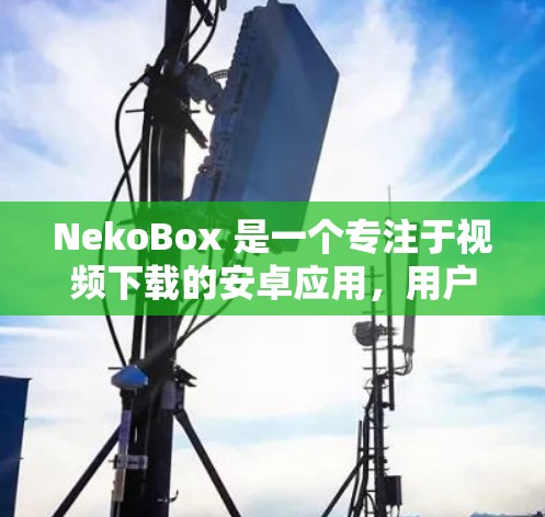 NekoBox 是一个专注于视频下载的安卓应用，用户可以通过该应用方便地下载视频并在移动设备上观看。以下是下载 NekoBox 的步骤