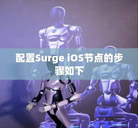配置Surge iOS节点的步骤如下 配置Surge iOS节点的步骤如下