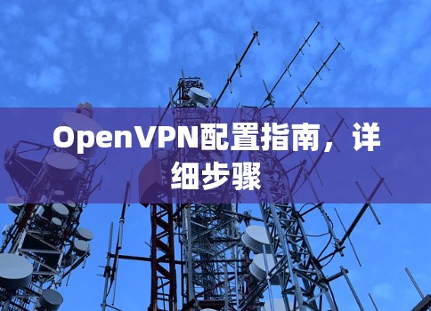 OpenVPN配置指南,详细步骤 OpenVPN配置指南,详细步骤