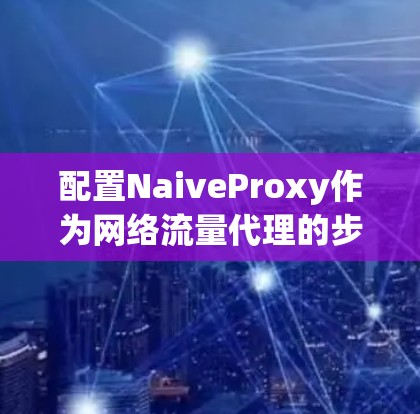 配置NaiveProxy作为网络流量代理的步骤如下 配置NaiveProxy作为网络流量代理的步骤如下