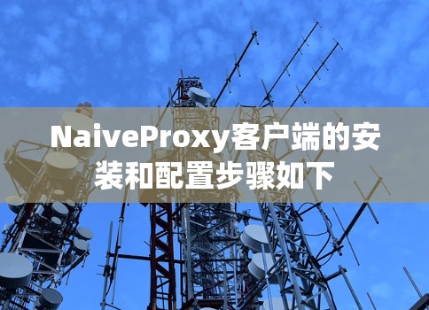 NaiveProxy客户端的安装和配置步骤如下 NaiveProxy客户端的安装和配置步骤如下