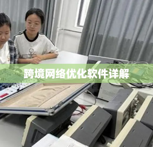 跨境网络优化软件详解 跨境网络优化软件详解