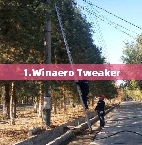 1.Winaero Tweaker 1.Winaero Tweaker