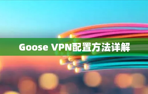 Goose VPN配置方法详解 Goose VPN配置方法详解