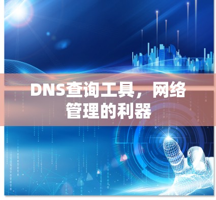 DNS查询工具,网络管理的利器 DNS查询工具,网络管理的利器