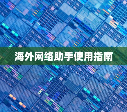 海外网络助手使用指南