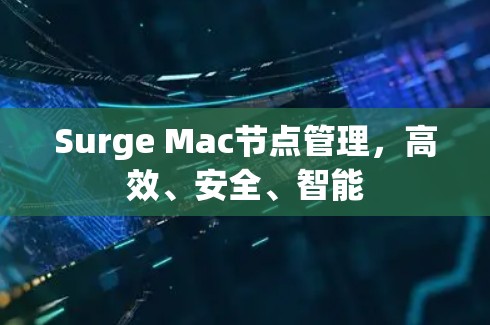 Surge Mac节点管理,高效、安全、智能 Surge Mac节点管理,高效、安全、智能
