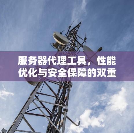 服务器代理工具,性能优化与安全保障的双重利器 服务器代理工具,性能优化与安全保障的双重利器