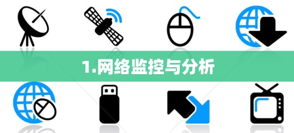 1.网络监控与分析 1.网络监控与分析