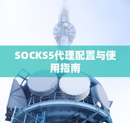 SOCKS5代理配置与使用指南 SOCKS5代理配置与使用指南