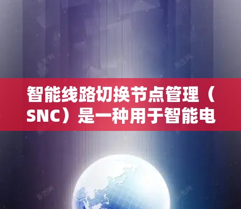 智能线路切换节点管理（SNC）是一种用于智能电网中的关键技术，旨在实现电网线路的自动化切换，以维护电网的稳定性和可靠性。以下是对SNC的详细分析和总结