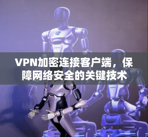 VPN加密连接客户端，保障网络安全的关键技术