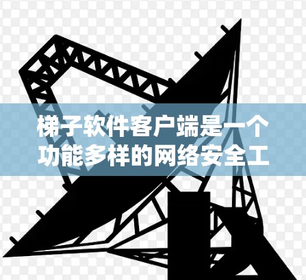 梯子软件客户端是一个功能多样的网络安全工具，适合需要绕过网络限制、保护隐私和访问受限资源的用户。以下是对梯子客户端的详细分析和总结