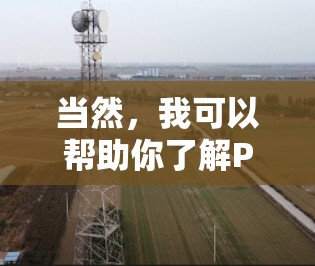 当然,我可以帮助你了解PureVPN的手机客户端。如果你有任何问题或需要进一步的帮助,请告诉我 当然,我可以帮助你了解PureVPN的手机客户端。如果你有任何问题或需要进一步的帮助,请告诉我