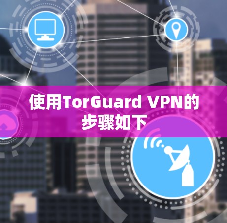 使用TorGuard VPN的步骤如下 使用TorGuard VPN的步骤如下