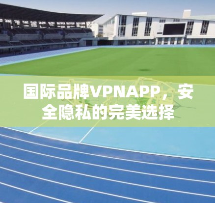 国际品牌VPNAPP,安全隐私的完美选择 国际品牌VPNAPP,安全隐私的完美选择